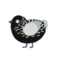 ACE CHICKEN, a black and white chicken with a head pattern