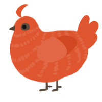 A vermilion chicken with a bar pattern