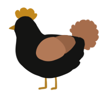 A black and brown chicken