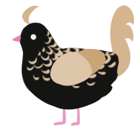 A black and beige chicken with a half-lace pattern
