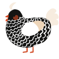 A black and cream chicken with a lace pattern