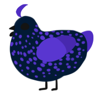 A tumblr and indigo chicken with a speckle pattern