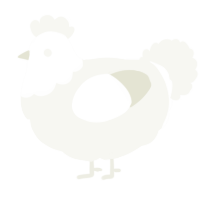 A white chicken with a head pattern