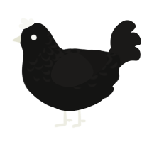 A black and sable chicken with a half-lace pattern