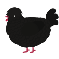 A sable and black chicken with a lace pattern