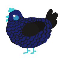 A navy and sable chicken with a lace pattern