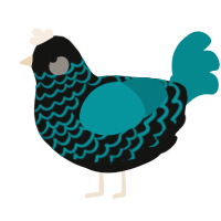 A black and teal chicken with a lace pattern