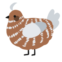 A brown and mist chicken with a bar pattern