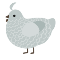 A silver chicken with a lace pattern