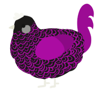 A sable and plum chicken with a double-lace pattern