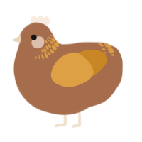 A brown and orange chicken with a neck-band pattern