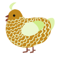 A ochre and apple chicken with a lace pattern