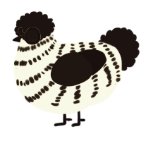 A white and sable chicken with a bar pattern