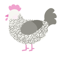 A white and ash chicken with a double-lace pattern