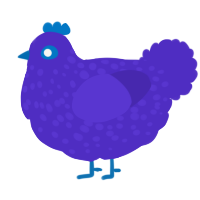 A indigo chicken with a speckle pattern