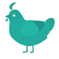 A turquoise chicken with a double-lace pattern