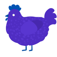 A indigo chicken with a speckle pattern