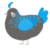 A grey and sky chicken with a half-lace pattern