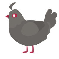 A grey chicken with a head pattern