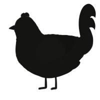 A black chicken with a lace pattern