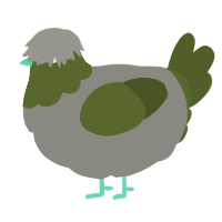 A ash and olive chicken with a head pattern