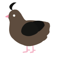 A bark and black chicken
