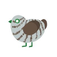 (unnamed), a silver and bark chicken with a bar pattern