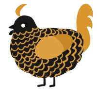 A sable and orange chicken with a lace pattern