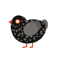 A black and grey chicken with a speckle pattern