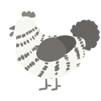 A white and grey chicken with a bar pattern