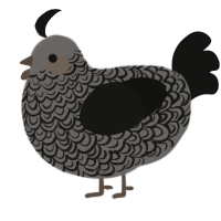 A grey and black chicken with a double-lace pattern
