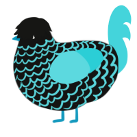 A black and aqua chicken with a lace pattern