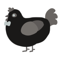 A sable and grey chicken