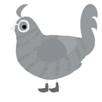 A grey chicken with a bar pattern