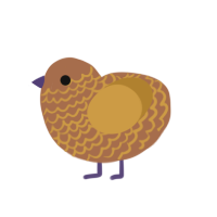 (unnamed), a brown and gold chicken with a lace pattern