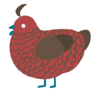 A red and bark chicken with a lace pattern