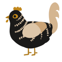 A sable and beige chicken with a half-bar pattern