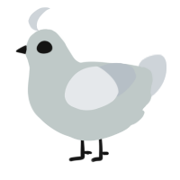 A silver and mist chicken