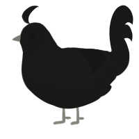 A sable chicken with a half-lace pattern