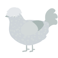 A mist and silver chicken with a speckle pattern