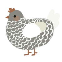 A ash and white chicken with a lace pattern