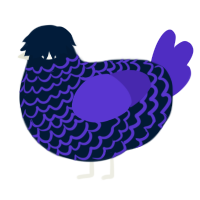 A tumblr and indigo chicken with a lace pattern