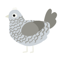 A mist and ash chicken with a lace pattern