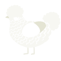 A white chicken with a lace pattern