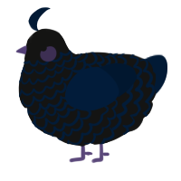 A black and tumblr chicken with a lace pattern