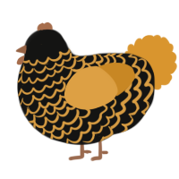 A black and orange chicken with a lace pattern