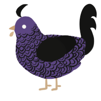 A overcast and black chicken with a double-lace pattern