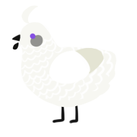 A white chicken with a lace pattern