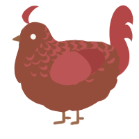 A russet and red chicken with a half-lace pattern