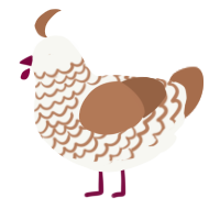 A white and brown chicken with a lace pattern